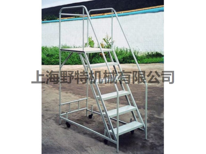 Ladder 01